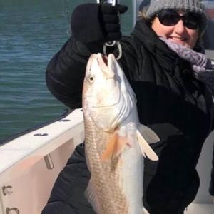 Meet your Posher, Sandra